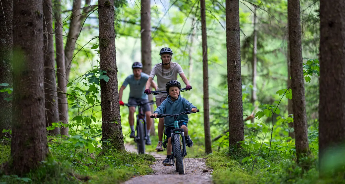 Biken - Singletrack in Haus/Aich - Urlaubsregion Schladming-Dachstein