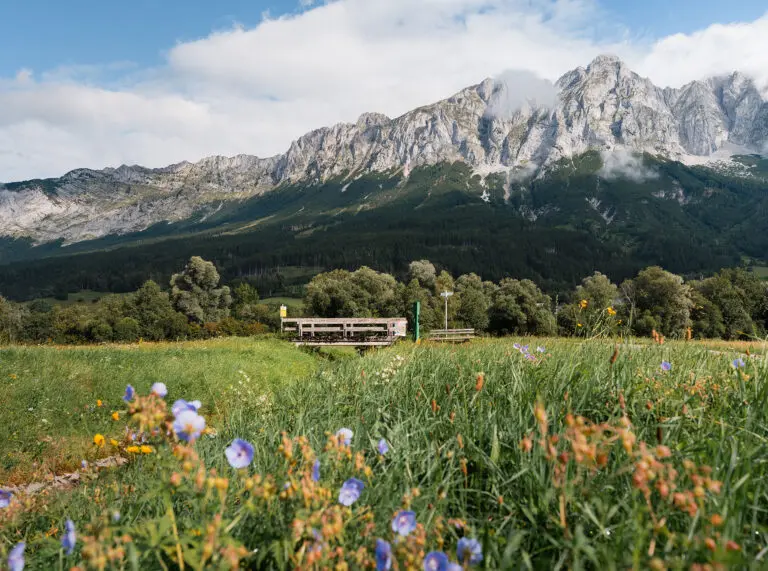 Biken - Sommerurlaub in Ramsau am Dachstein, Urlaubsregion Schladming-Dachstein Biken - Sommerurlaub in Ramsau am Dachstein, Urlaubsregion Schladming-Dachstein
