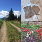 Impressionen
