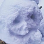 Schneegesicht (2)