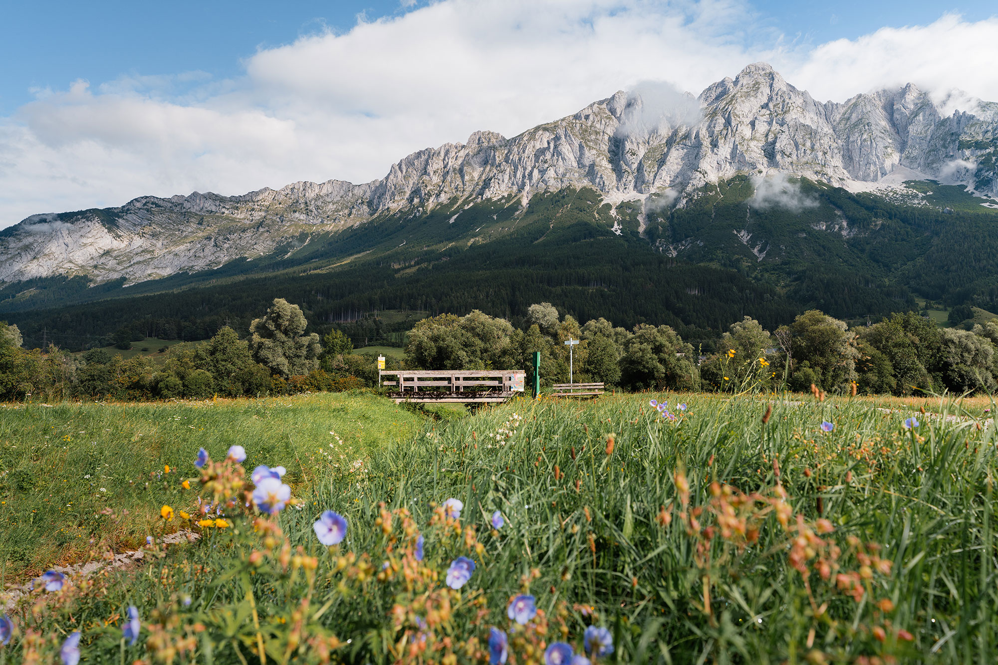 Biken - Sommerurlaub in Ramsau am Dachstein, Urlaubsregion Schladming-Dachstein