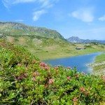 wandertage