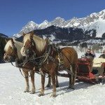winter-4