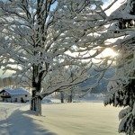 winter1